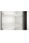 Холодильные шкафы со стеклянными дверьми DM104c-Bravo 2