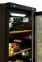 Холодильный шкаф для вина DW104-Bravo 0